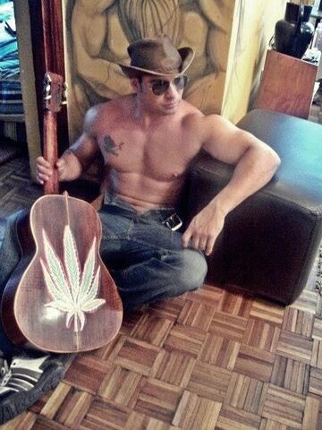 vedettos, strippers, bailarines, despedida de soltera, viña del mar, valparaiso